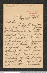Nachlass Franz Steindachner, Brief von Norton Smith an Franz Steindachner (01.08.1906), Inv.Nr. 493.01, Seite 1